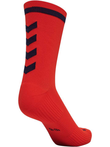 Hummel Niedrige Socken Elite Indoor Sock Low Pa in AURA ORANGE