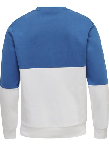 Hummel Hummel Sweatshirt Hmllgc Manfred Erwachsene in WHITE
