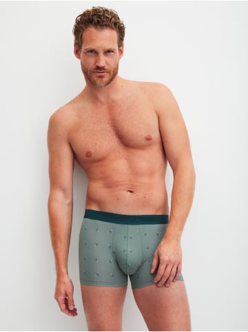 Calida New Boxer in laurel green