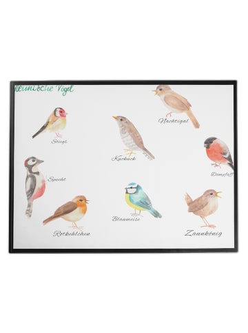Mr. & Mrs. Panda Schreibunterlage Heimische Vögel mit Spruch in Bunt