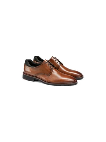 LLOYD Business Schuhe für Herren in mittel-braun