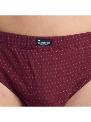 Abanderado 3er-Set: Slip in Bordeaux