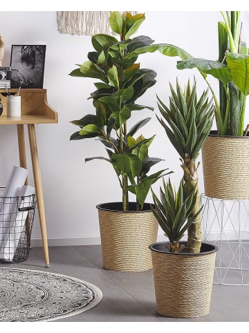 Beliani Kunstpflanze FICUS ELASTICA in Grün/Schwarz - (W) 18 x (H) 134 x (L) 18 cm