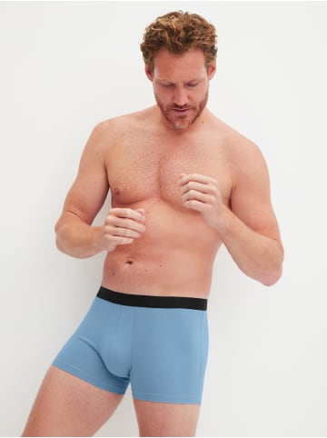 Calida New Boxer, 3er-Pack in glacier lake