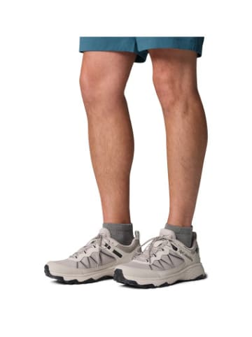 Columbia Sneaker Peakfreak in taupe