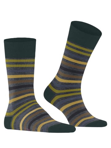 Falke Socken Tinted Stripe in Steel mel.