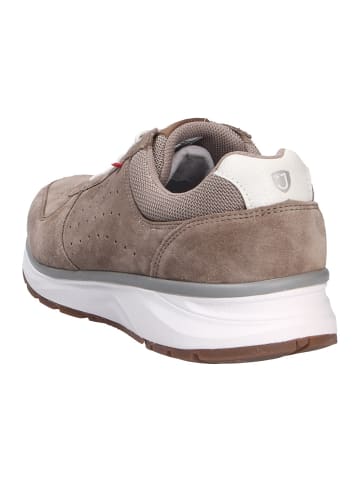 Joya Schnürschuh DYNAMO CLASSIC M LIGHT BROWN in braun