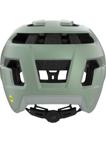 Alpina TAUNUS MIPS in Grün2047