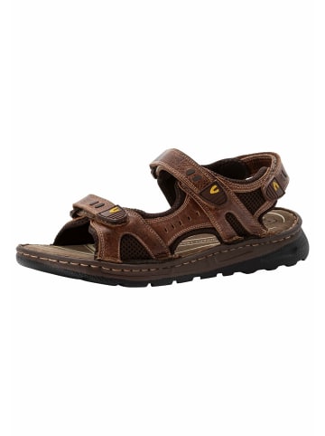 Camel Active Sandalen für Herren in braun