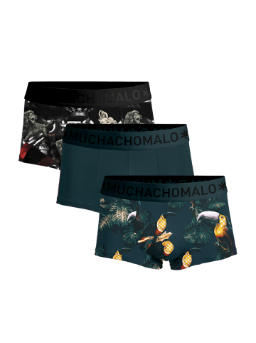 Muchachomalo 3er-Set: Boxershorts in Multicolor