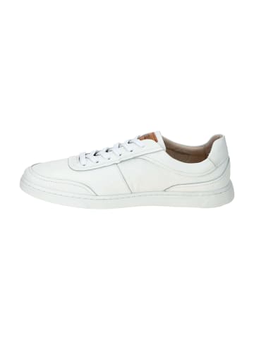Pikolinos Sneaker Low in Weiß