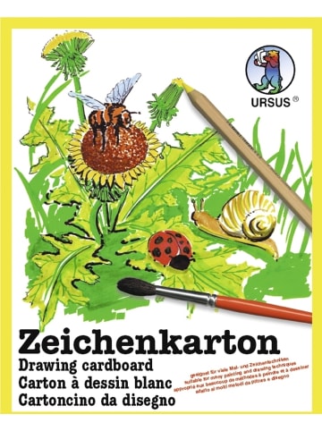 Buntpapierfabrik Ludwig Bähr Zeichenkarton 120g/qm A3 Packung mit 250 Bogen
