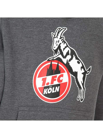 Fußballverein 1. FC Köln Kinder Sweatshirt "Kids Hoodie Basic Anthra" in Grau