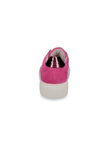 Gabor Comfort Sneaker in Pink