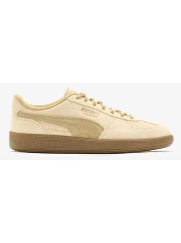 Puma SHOES "Palermo Gelato" in Buttercream-Gum