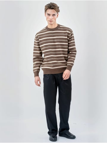 TeeShoppen Pullover Striped in BROWN