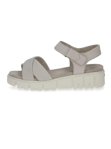 Caprice Sandalen grau