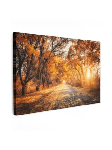 MuchoWow Leinwand bilder Waldweg (BxH)