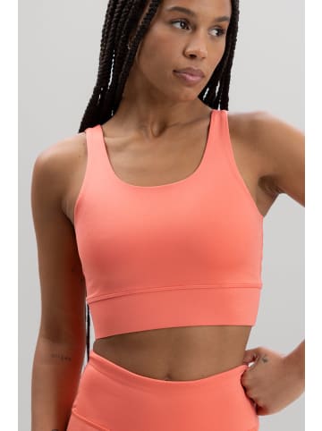 Hey Honey Bustier in orange