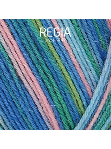 Regia Handstrickgarne 4-fädig Color, 100g in Roskilde