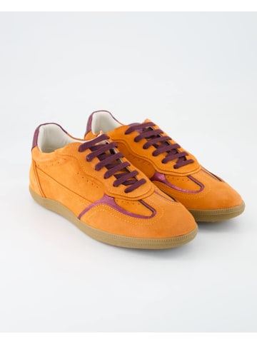 Lazamani Sneaker low in Orange