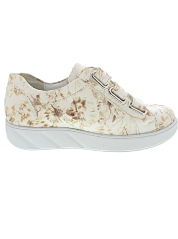 WALDLÄUFER K-Lili Klettschuh Beige