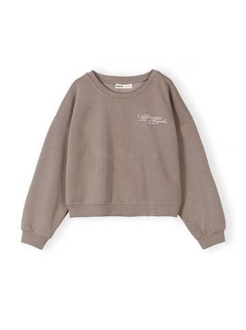 Minoti Rundhalspullover 30SCUBA301 in Braun