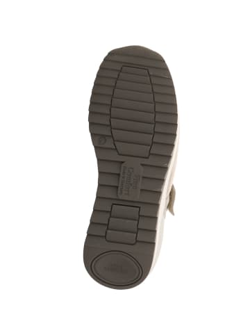 Finn Comfort Schnürschuh in grau