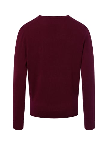 Andrew James Strickpullover in bordeaux - 0016