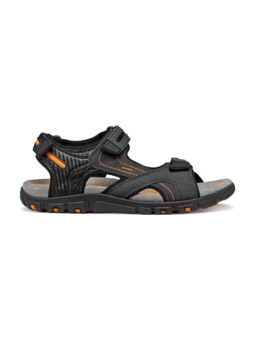 Geox Trekkingsandalen in Grau
