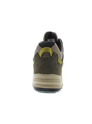 LOWA Ventierra GTX Lo Wanderschuh Grün