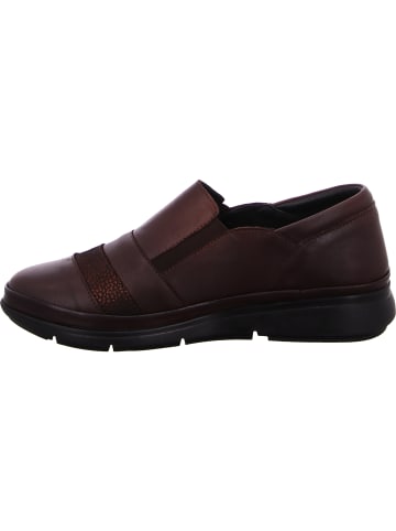 Diego Carlotti Slipper in braun
