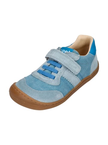 KOEL Sneaker Low DYLAN COTTON 3.0 in blau