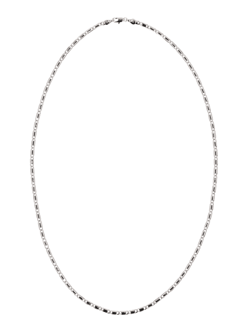 braelyn Women Necklace in SILVER