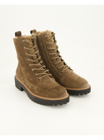 Paul Green Schnürstiefeletten in Beige