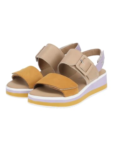 Igi&Co Sandalen Braun/LIla