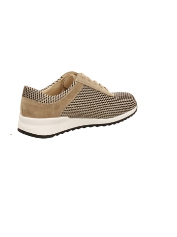 Finn Comfort Schnürschuhe in beige