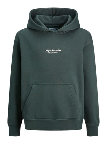 JACK & JONES Junior Kapuzensweatshirt JORVESTERBRO in forest river