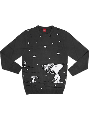 Snoopy The Peanuts Winterpullover - Snoopy in grau