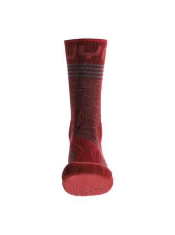 UYN Socken 1er Pack in Rot