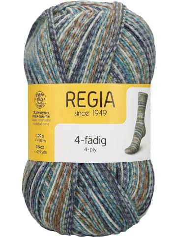 Regia Handstrickgarne 4-fädig Color, 100g in Sage