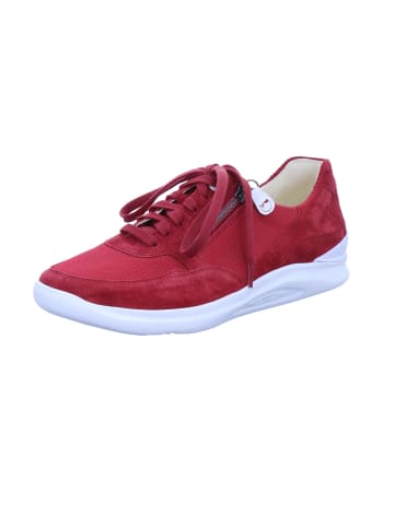 Ganter Sneaker in red