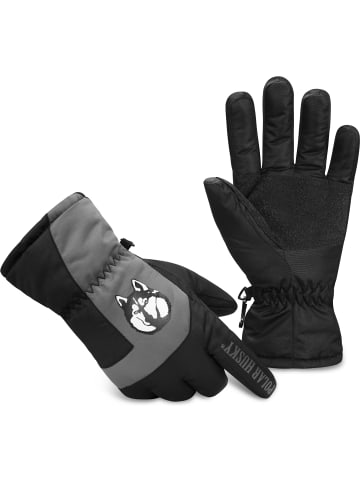 Polar Husky Winterhandschuhe Jannu in Grau