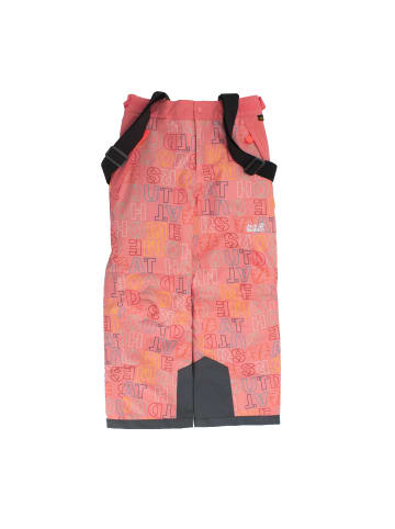 Jack Wolfskin Hose Neureuther Printed Ski Pant in Rosa