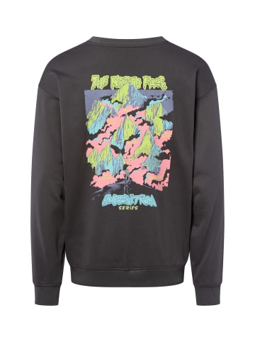 The North Face Sweatshirt in anthrazit