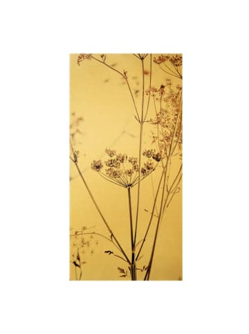 WALLART Leinwandbild Gold - Trockenblume im Lichtspiel in Braun