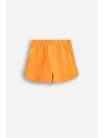 Coccodrillo Kurze Hosen in orange