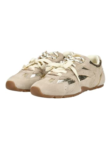 Steve Madden Sneaker in Gold/Beige