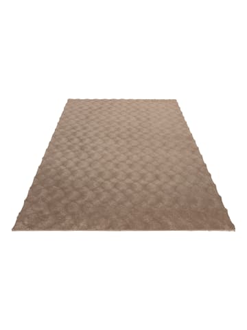 Vivorum Teppich Royal in taupe - rechteckig
