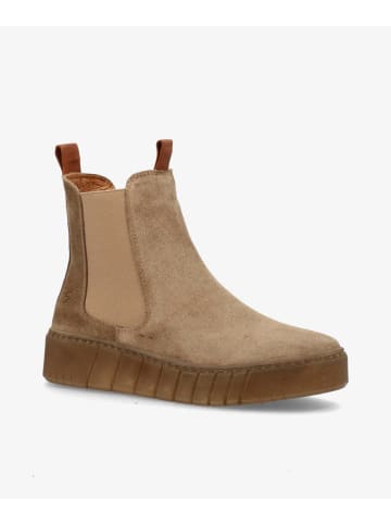 phenumb Schnürschuh in beige